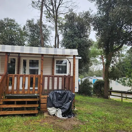 Sejour Au Bois Dormant 88 منتزه العطل