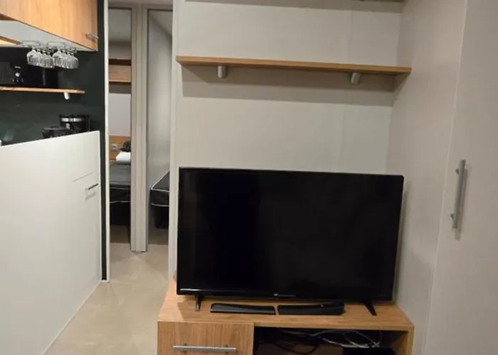 Sejour Au Bois Dormant 88 Saint-Jean-de-Monts